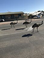 Shark Bay Seafront Apartments