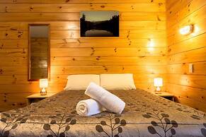 Fox Glacier TOP 10 Holiday Park & Motels