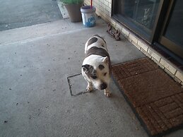 Bega Southtown Motor Inn