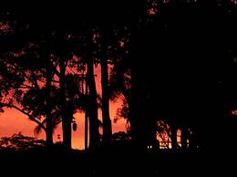 Bega Southtown Motor Inn