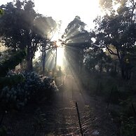 Chalets on Stoneville