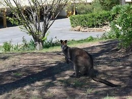 Cooma High Country Motel
