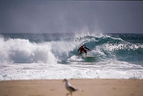 NRMA Tathra Beachfront Holiday Park