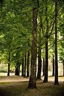 Mt Buffalo Caravan Park