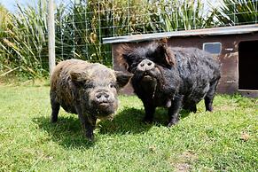 Awatea Country B&B