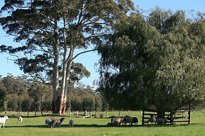 Diamond Forest Farm Stay