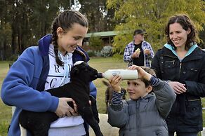 Diamond Forest Farm Stay