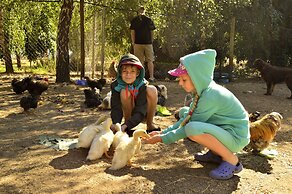 Diamond Forest Farm Stay