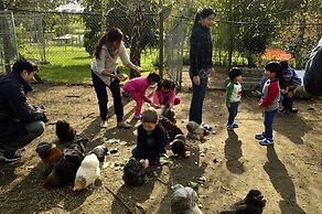 Diamond Forest Farm Stay