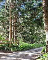 Montville Country Cabins