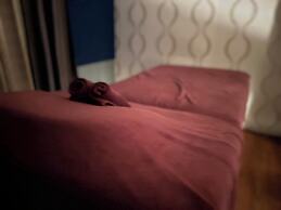 REGALODGE HOTEL & SPA