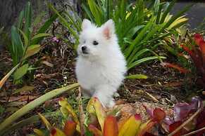 Mapleton Cabins & Caravan Park