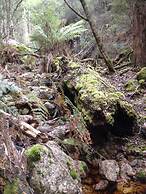 Silver Ridge Retreat