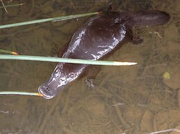 Silver Ridge Retreat