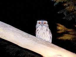 Silver Ridge Retreat