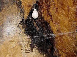 Silver Ridge Retreat