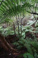 Silver Ridge Retreat