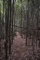 Silver Ridge Retreat