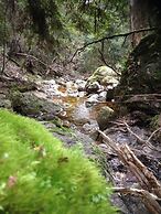 Silver Ridge Retreat