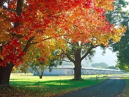 Del Rio Riverside Resort