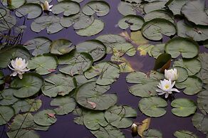 Jackson Ranch by Bannisters