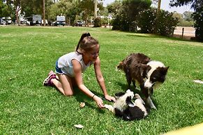 Rivergardens Holiday Park