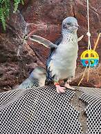 Ashburton's Regency Motel