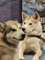 Ashburton's Regency Motel