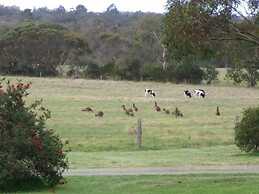 Woody Grange Chalets