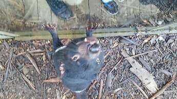 Four Seasons Waterfront Villas