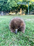 Giants Table and Cottages