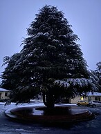 Giants Table and Cottages