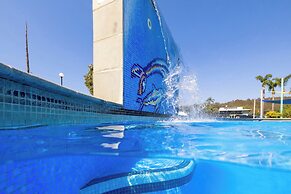 Big4 Nelligen Holiday Park