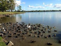 Rocky Gardens Motor Inn