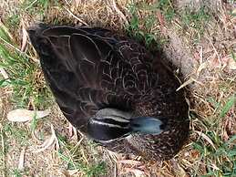 Sandy Bay Holiday Park