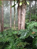 Songbirds Rainforest Retreat