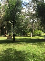 Songbirds Rainforest Retreat