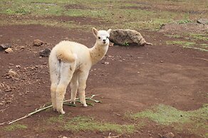 Songbirds Rainforest Retreat