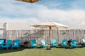 Wake Up! Bondi Beach - Hostel