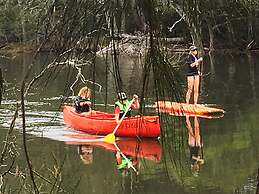 Jervis Bay Cabins & Hidden Creek Campsite