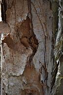 Jervis Bay Cabins & Hidden Creek Campsite