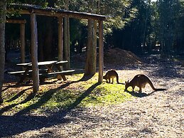 Jervis Bay Cabins & Hidden Creek Campsite