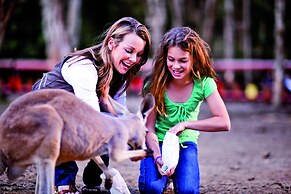 Nobby Beach Holiday Village