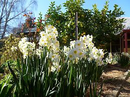 Donalea Bed & Breakfast