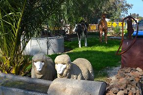 Little River Bed & Breakfast