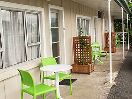 Palm Motel Waihi