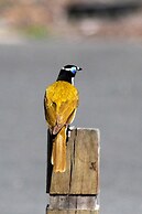 Broken River Mountain Resort