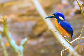 Broken River Mountain Resort