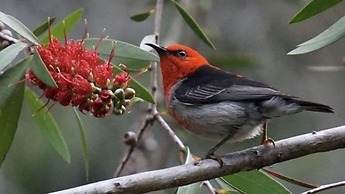 Broken River Mountain Resort