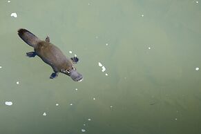 Broken River Mountain Resort